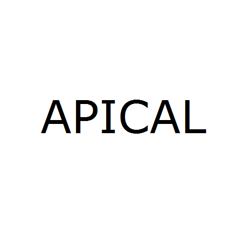 APICAL