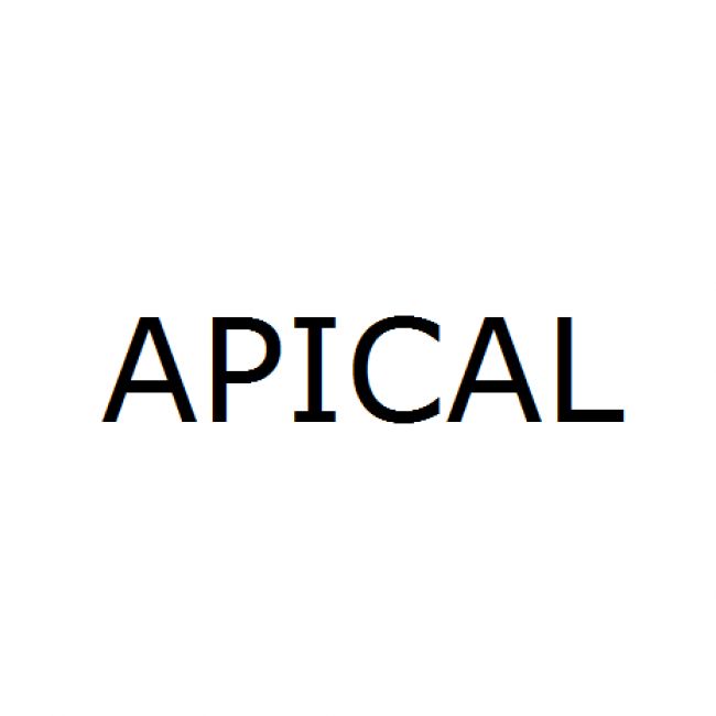APICAL